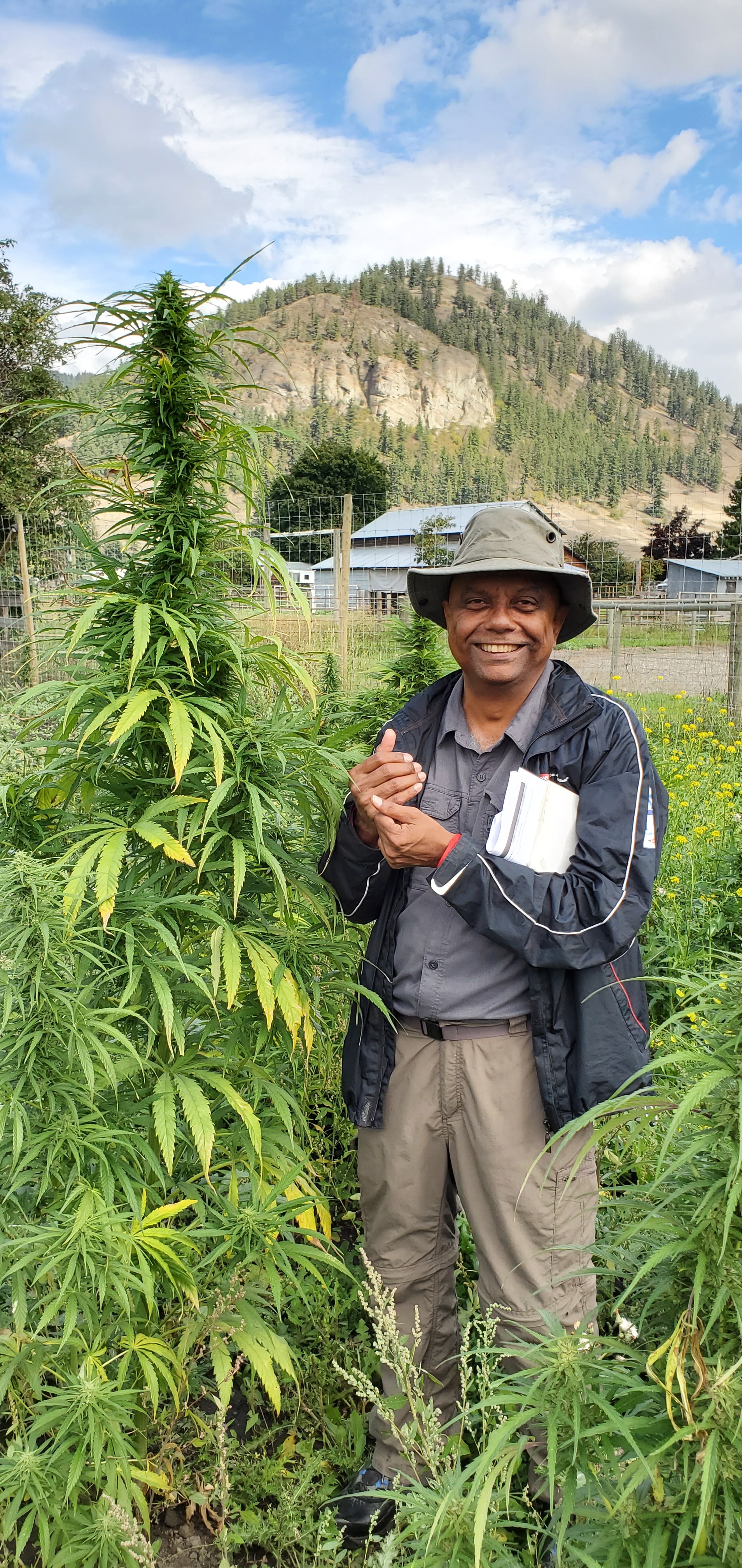 Harikumar Nair, Principal of NavGaea Consulting, standing beside a mature hemp plant in a Saskatchewan field